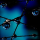 Image for article titled Shooting Challenge: Focus Stacking Gallery